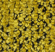 Balsan Take a Walk 330 Take a Walk фото 4 | FLOORDEALER