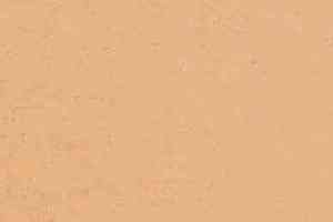 Ковролин Balta ITC Parma 37 фото  | FLOORDEALER