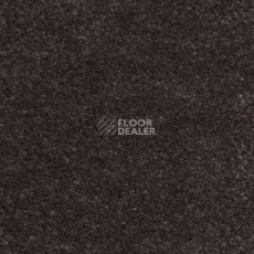 Ковролин AW Obsession 43 фото 1 | FLOORDEALER