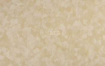 Tarkett iq Melodia 2645 фото 3 | FLOORDEALER