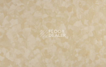 Tarkett iq Melodia 2645 фото 3 | FLOORDEALER
