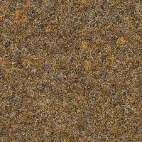 Ковролин Finett Vision Focus 105523 фото 1 | FLOORDEALER