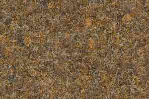 Ковролин Finett Vision Focus 105523 фото  | FLOORDEALER