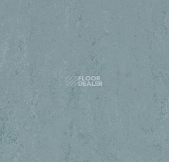 Линолеум Forbo Marmoleum Solid Concrete 3753 blue ice фото 1 | FLOORDEALER