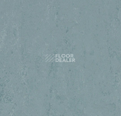 Линолеум Forbo Marmoleum Solid Concrete 3753 blue ice фото 1 | FLOORDEALER