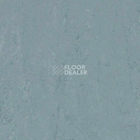 Линолеум Forbo Marmoleum Solid Concrete 3753 blue ice фото 1 | FLOORDEALER