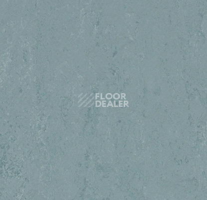 Линолеум Forbo Marmoleum Solid Concrete 3753 blue ice фото 1 | FLOORDEALER