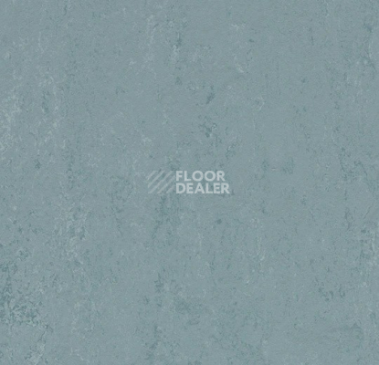 Линолеум Forbo Marmoleum Solid Concrete 3753 blue ice фото 1 | FLOORDEALER