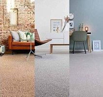 Best Wool Pure Tasman