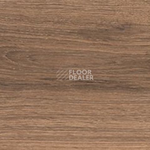 Керамогранит Cocoon 20 X 120 Peace фото 1 | FLOORDEALER