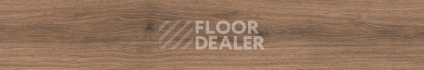 Керамогранит Cocoon 20 X 120 Peace фото 1 | FLOORDEALER