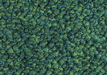 Tessera Chroma 3620 Evergreen фото 4 | FLOORDEALER