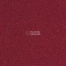 Ковролин Balsan Sydney DD 580 фото 1 | FLOORDEALER