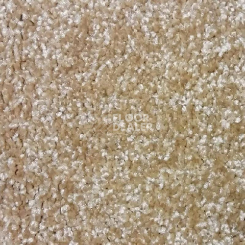 Ковролин Дюна Тафт Volterra 328 фото 1 | FLOORDEALER
