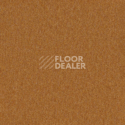 Ковровая плитка Desso Essence Pure ad 07 5411 фото 1 | FLOORDEALER