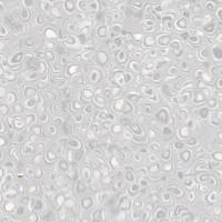 Grabo Polis Koala фото 1 | FLOORDEALER