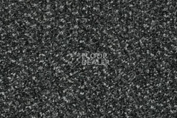 Грязезащитные покрытия Forbo Coral в плитке 4701 anthracite фото 1 | FLOORDEALER