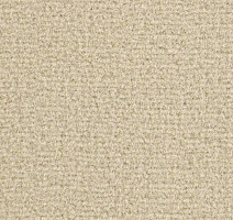 Ковролин Balsan Residentiel 616 фото 1 | FLOORDEALER