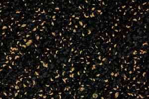 Ковровая плитка Desso Precious Metals Precious Metals Stream 2911 фото  | FLOORDEALER