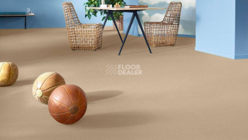 Vorwerk Superior 1049 Vorwerk 8k27 фото 2 | FLOORDEALER