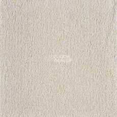 Ковролин Big Vivaldi 302 фото 1 | FLOORDEALER