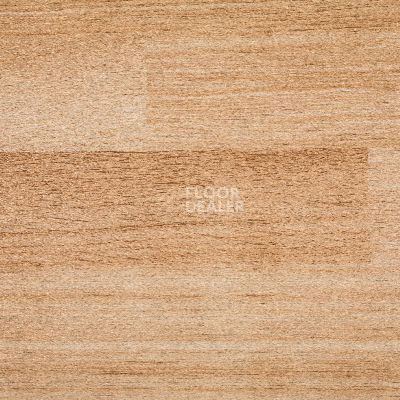 Линолеум Novoflor Standard 4700_6 фото 1 | FLOORDEALER