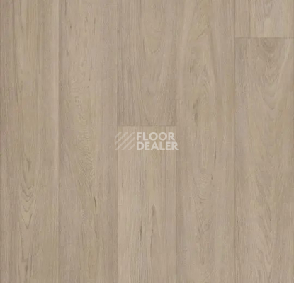 Линолеум Forbo Eternal Original 68952 natural oak фото 1 | FLOORDEALER