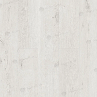 Ламинат Alpine Floor Premium 10мм P1006  ДУБ ВАЙТ фото 1 | FLOORDEALER