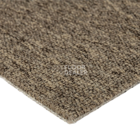 Standard Carpets Romeo Park 598 фото 6 | FLOORDEALER