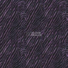 Ковролин Infloor Contur 06-385 фото 1 | FLOORDEALER