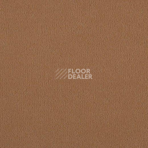 Ковролин Lano Brezina 330 фото 1 | FLOORDEALER