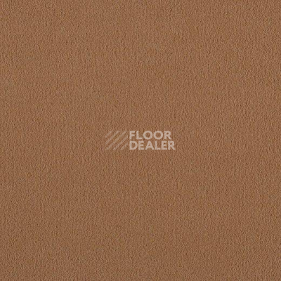 Ковролин Lano Brezina 330 фото 1 | FLOORDEALER