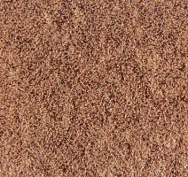 Flotex Colour s 482019 Penang Ginger фото 2 | FLOORDEALER