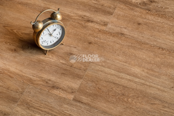 Alpine Floor Grand Sequoia Superior ABA 8мм Гевуина ECO 11-703 фото 2 | FLOORDEALER