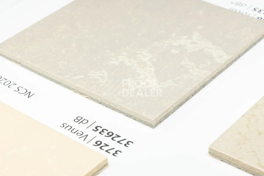 Линолеум Marmoleum Solid Concrete 3708-370835 fossil фото 1 | FLOORDEALER