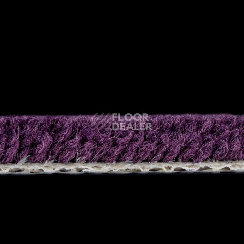 Balsan Les Best 899 фото 3 | FLOORDEALER