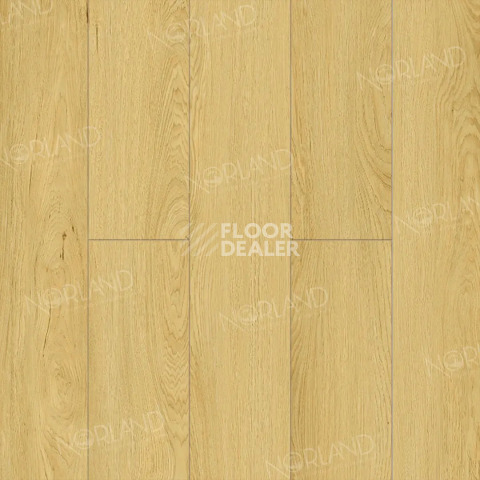 Ламинат Norland Elegant Strong 12мм Дуб Элмер LF302-08 фото 1 | FLOORDEALER