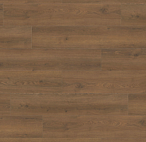 Ламинат Haro Tritty 100 Campus 4V Дуб Флавия Дымчатый 544757 фото 1 | FLOORDEALER