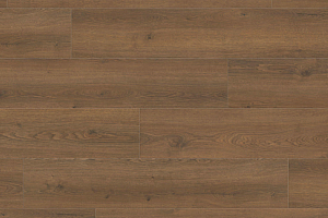 Ламинат Haro Tritty 100 Campus 4V Дуб Флавия Дымчатый 544757 фото  | FLOORDEALER