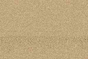 Ковролин Balsan Tanzanie 311 фото  | FLOORDEALER