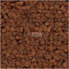 Ковровая плитка Tecsom 3580 do 116 фото 1 | FLOORDEALER