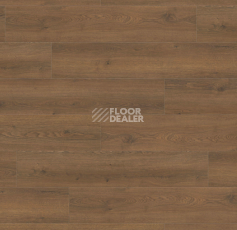 Ламинат Haro Tritty 100 Campus 4V Дуб Флавия Дымчатый 544757 фото 1 | FLOORDEALER