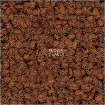 Ковровая плитка Tecsom 3580 do 116 фото 1 | FLOORDEALER