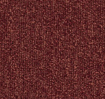 Ковровая плитка Tecsom Camera 00097 фото 1 | FLOORDEALER