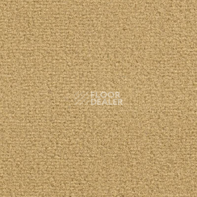 Ковролин Balsan Les Greens Confort+ 348 фото 1 | FLOORDEALER