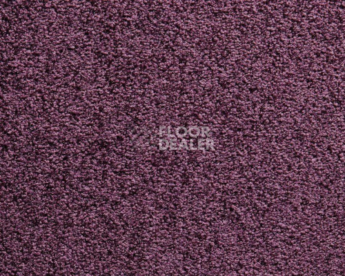 Ковролин Balta ITC Harmony 018 фото 1 | FLOORDEALER