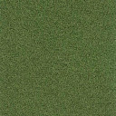 Ковролин FINETT Sport 6219  | FLOORDEALER