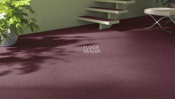 Vorwerk Essential 1031 Vorwerk 1m76 фото 2 | FLOORDEALER