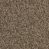 Ковровая плитка Balsan Serenite Sonic Confort 751 фото 1 | FLOORDEALER
