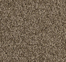 Ковровая плитка Balsan Serenite Sonic Confort 751 фото 1 | FLOORDEALER